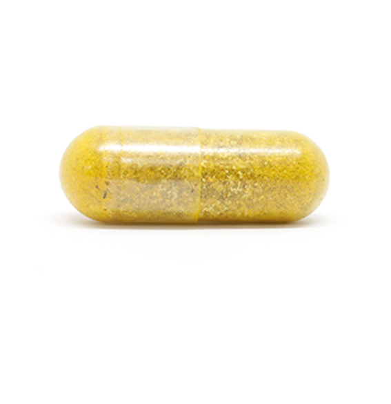 50+ Multivitamin