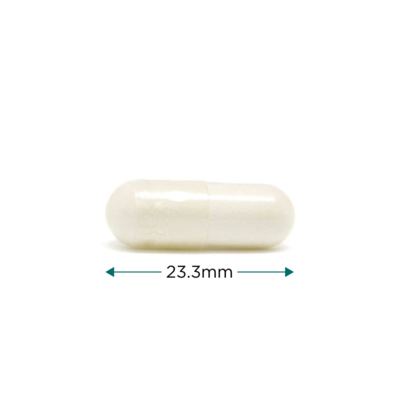 Menopause Support - szója izoflavon komplex