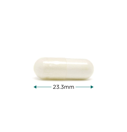 Menopause Support - szója izoflavon komplex