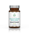 Saccharomyces boulardii - élesztőkultúra