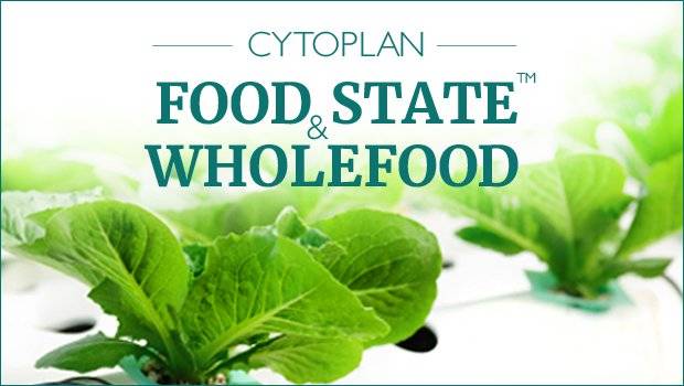 foodstate-wholefood