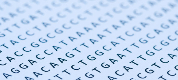 Personal Genetic Testing – How Much Do You Want To Know?