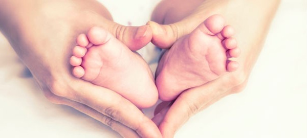 Focusing on Fertility