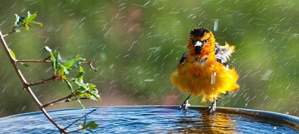 Get a spring in your step with a seasonal cleanse
