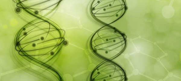 Nutrigenomics and Genetics – We are Pioneers!