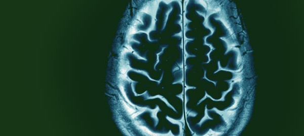 In the News – Health and Nutrition Research