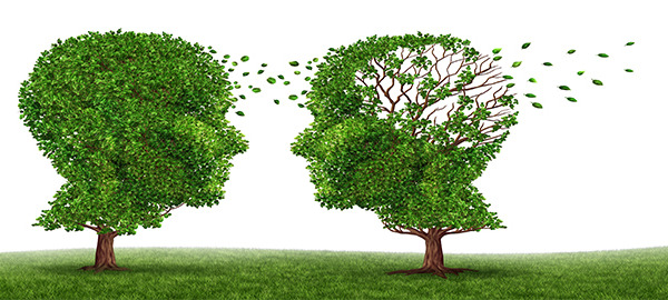 Why a Low Fat Diet and Statin’s May Cause Alzheimer’s