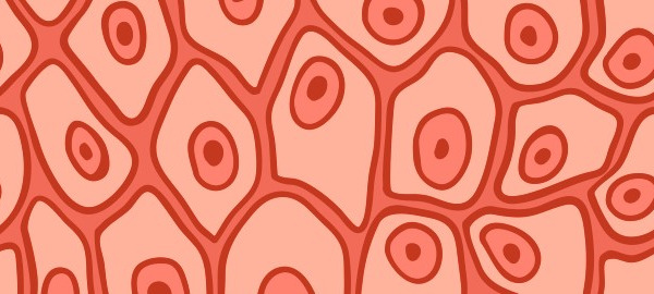 Eczema – Looking Beyond the Skin