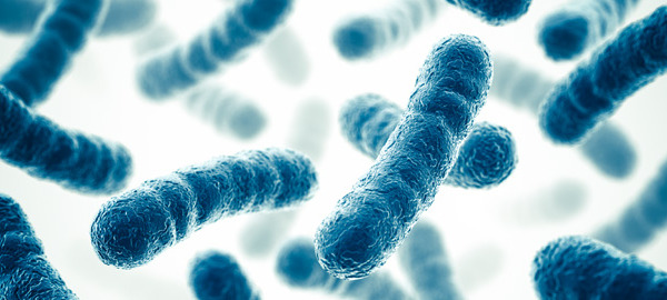 “Greeting from both myself and my Microbiome” – Dr Rangan Chatterjee