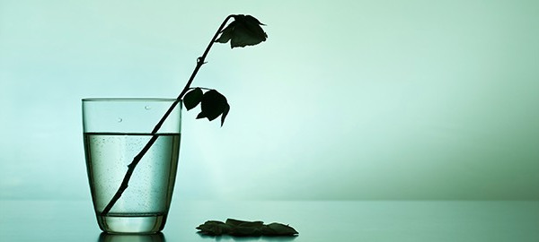 Is Depression an Inflammatory Disease?