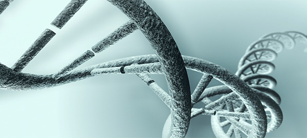 Nutrigenomics and Autism