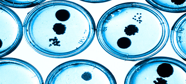 In the News – Health and Nutrition Research