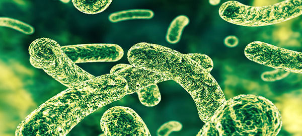 The Microbial Translocation of Lipopolysaccharide – A Key Mediator of Disease