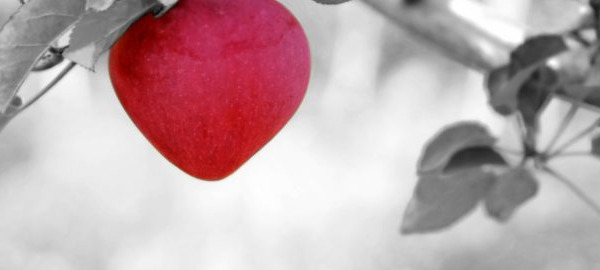 In the News – Health and Nutrition Research