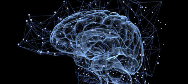 In the News – Health and Nutrition Research