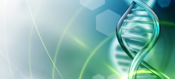 In the news – health and nutrition research