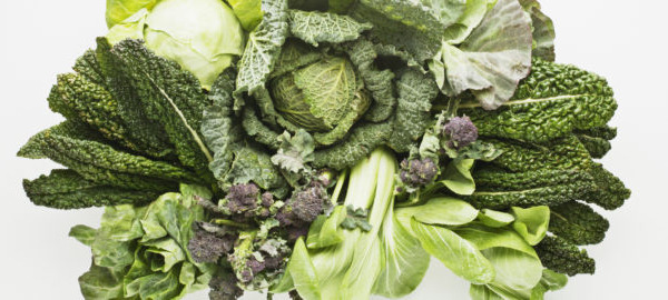 Nutritional interventions for Multiple Sclerosis