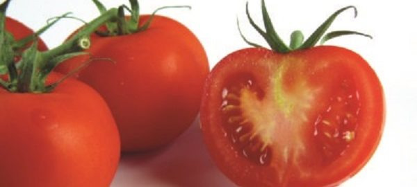 Lycopene and Prostate Cancer