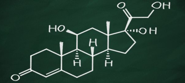 How stress rewires the brain