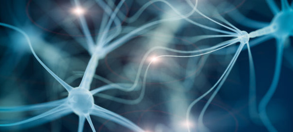 In the news – health and nutrition research