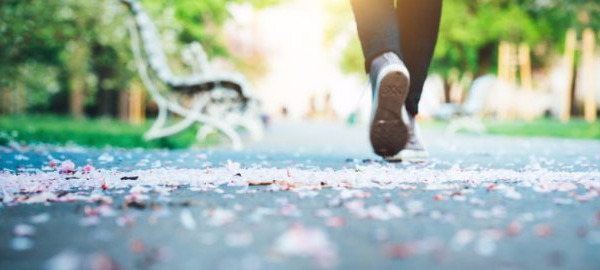 In the news – health and nutrition research