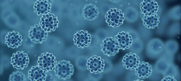 Boost your immune system this winter