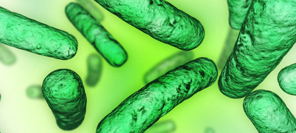 Antibiotics, Diarrhoea & Probiotics
