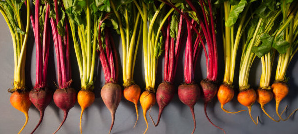 In the news – health and nutrition research