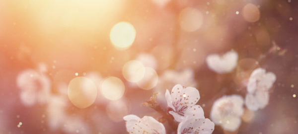 Hay Fever – the link with stress, sleep & nutrient deficiencies