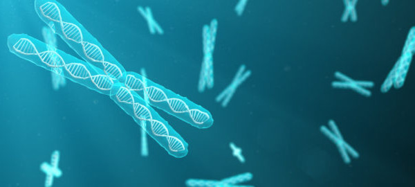 Caloric restriction and nicotinamide riboside