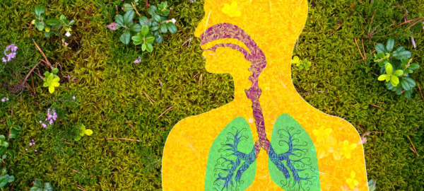 Asthma – risk factors & nutritional support