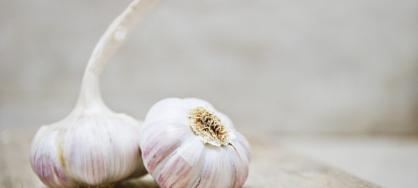 In the news – health and nutrition research