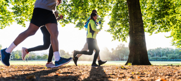 Bone density – diagnosis, nutrients and lifestyle factors