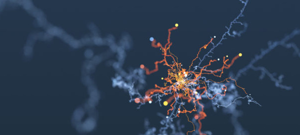 Delaying and slowing cognitive decline