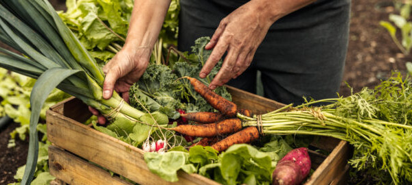 Cardiovascular health and phytonutrients