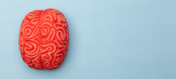 Lifestyle interventions to support brain health