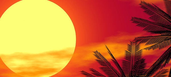 Vitamin and Mineral Loss in Hot Weather and when Exercising