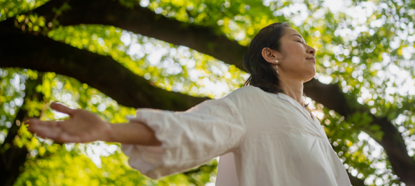 Let the breath be your guide