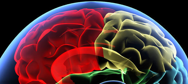 Can B-Vitamins Help Deter Alzheimer’s & Dementia?
