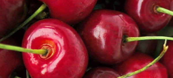 Health & Nutrition in the News