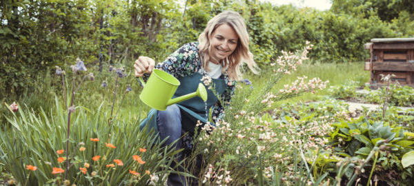The role of histamine in seasonal allergies