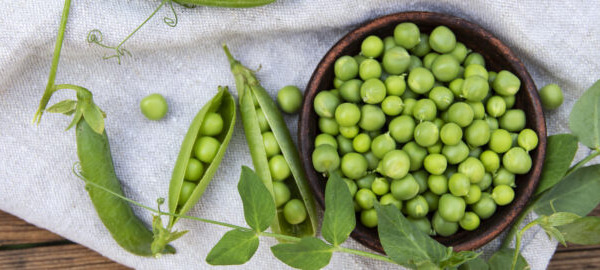 In the news – health & nutrition research