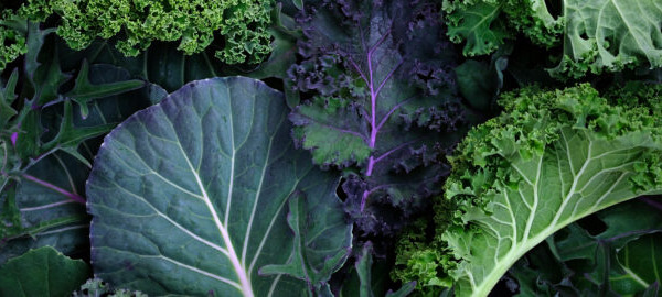Is eating organic food better for your gut health?