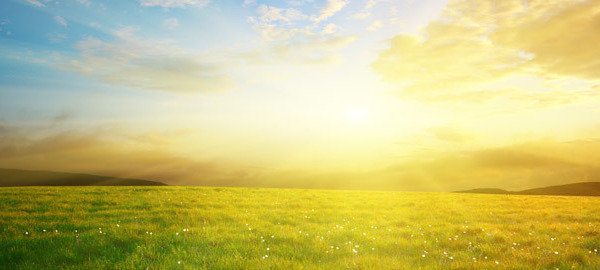 Vitamin D to cut Breast Cancer?