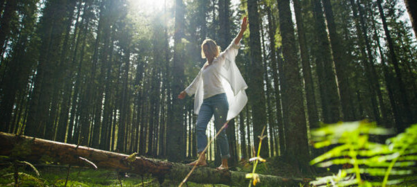 Shatavari, Sage & Maca: 3 Herbal Remedies for Perimenopause