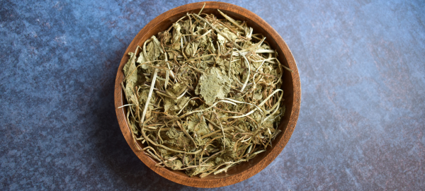 Rediscover the power of nootropics. A holistic approach to cognitive health