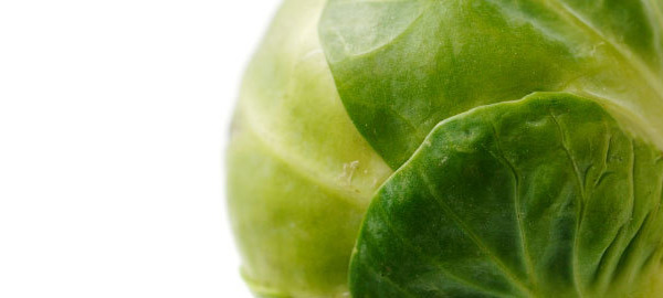 Planning for a baby? Both eat lots of brussel sprouts!