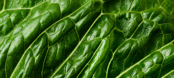 Why methylation matters – the complex process at the heart of human health