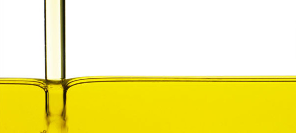 EFA’s and Omega 3 – health support for all the family