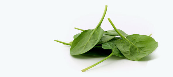 Methylation: energy for life and living!